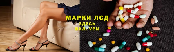 прущие грибы Володарск