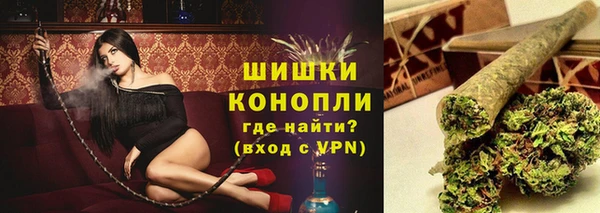 прущие грибы Володарск