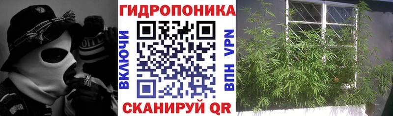 Канабис семена  Карабаново 